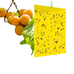 Piège à mouches des fruits imperméable avec autocollant adhésif double face jaune pour thrips/aphides/mouches blanches - Product Image 1