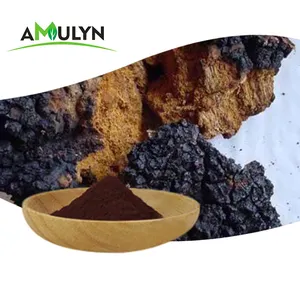 Wild Chaga Mushromm Extract Powder30% Polysaccharide/beta Glucan