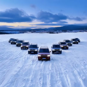 Neumático <span class=keywords><strong>de</strong></span> Nieve para SUV 265/70R16, Neumáticos <span class=keywords><strong>de</strong></span> <span class=keywords><strong>Invierno</strong></span> para Hielo y Nieve, Neumáticos Antideslizantes <span class=keywords><strong>de</strong></span> <span class=keywords><strong>Invierno</strong></span>, Marca <span class=keywords><strong>Michelin</strong></span>, Bridgestone, Goodyear, etc. - Product Image 6