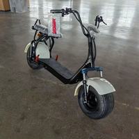 Scooter électrique double siège pour adultes, pneus larges Citycoco, étanche, 1000W/2000W, 20AH, cyclomoteur pour les trajets quotidiens
