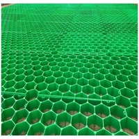 Grilles perméables 50*500*500 en HDPE, géocell en PP, géogrille pour la stabilisation des allées de manades et des pâturages, utilisation en jardin, résistantes aux UV