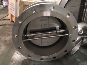 2025 dn250 150lb thép không gỉ cf8m Wafer loại tấm kép h77w bướm kiểm tra van - Product Image 3