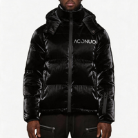 Manteau matelassé de haute qualité avec logo personnalisé Designer bulle d'hiver personnalisée veste polaire brillante pour hommes