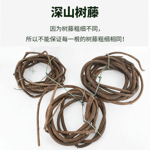 Vignes d'arbre de montagne séchées, fleurs naturelles, rotin décoratif pour la maison, 100cm-200cm - Product Image 1