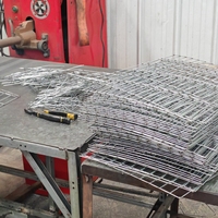 Cage à poules automatique de type H avec système de collecte des excréments, équipement d'élevage avicole pour le marché africain