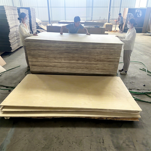 Panneau de contreplaqué de bouleau de qualité supérieure, grade A2, E1, sans formaldéhyde, surface poncée d'un côté, pour la décoration de meubles, utilisation en intérieur - Product Image 1