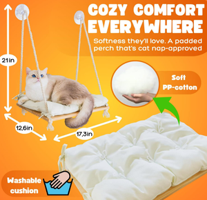 Asiento de madera maciza y ventosas fuertes, cama y muebles para ventana de gato, hamaca para gato, estante de ventana colgante interior, ventana de gato, melocotón - Product Image 5