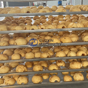 Séchoir à fruits à alimentation thermique au charbon pour tranches de pomme et de orange - Product Image 4