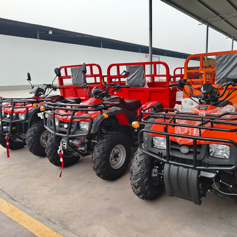 High Power 4KW Electric ATV with