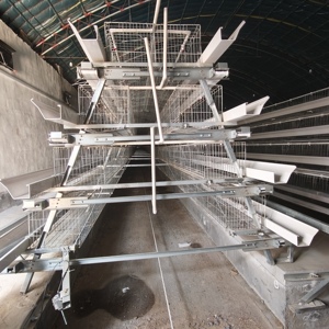 Nouveau système de cages à poulets empilables en A pour l'élevage avicole, construction métallique galvanisée à chaud, nettoyage facile, pour <span class=keywords><strong>poules</strong></span> pondeuses - Product Image 1