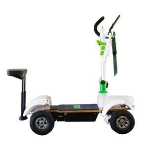 A buon mercato carrelli da golf scooter elettrico golf scooter