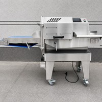 Trancheuse à viande électrique en acier inoxydable pour usage commercial, machine à couper la viande de poulet et le saumon, état neuf et d'occasion