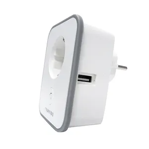 1 EU Outlet 2 USB ports WiFi Smart Wall Tap with power switch