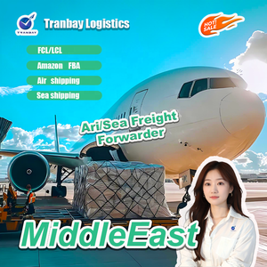 <span class=keywords><strong>Services</strong></span> logistiques de transport maritime DDP Royaume-Uni vers les États-Unis, fret maritime de la Chine vers les États-Unis, agent d'expédition pour les États-Unis avec dédouanement - Product Image 5