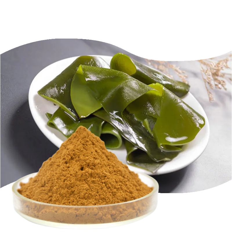 Pure Fucoxanthin Powder - High Quality & Best Price