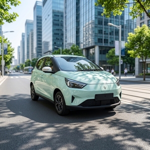 Nouvelle voiture électrique urbaine chinoise à 5 portes, conduite à droite, 4 places, haute vitesse, autonomie de 290 km - Product Image 4