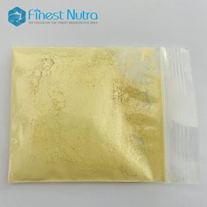 Pó de Kaempferol 98% Puro da Finest Nutra - Product Image 2