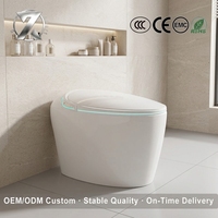 Asiento de Inodoro Inteligente con Control Remoto, Bidé con Agua Caliente, Lavado y Purificador de Aire con Ahorro de Energía, Venta al por Mayor