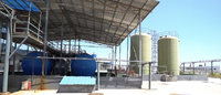 Liquide Transparent d'étanchéité Silane 1185-55-3 Silane MTMS