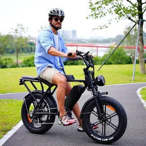 OUXI V8 Fatbike çıkarılabilir pil elektrikli bisiklet Fatbike elektrikli 7 hız 750W yüksek Motor yağ lastik elektrikli bisiklet yetişkinler için