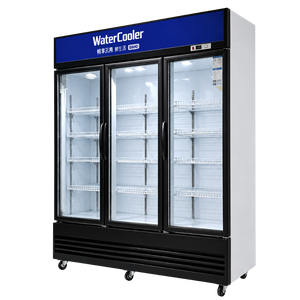 Réfrigérateurs vitrine, congélateurs, réfrigérateurs de présentation commerciaux pour supermarchés, refroidisseurs de boissons - Product Image 1