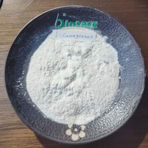 食品グレードカラギーナン粉末 カッパ・イオタタイプ 食品添加物 増粘剤 安定剤 ハラール・コーシャ認証 E407 - Product Image 1