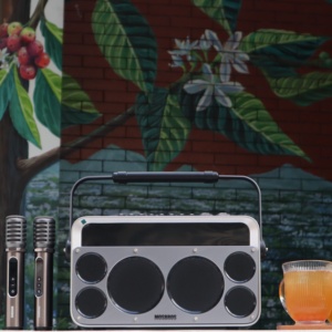 150W High Power Wireless Karaoke <strong>Speaker</strong> Blue Tooth <strong>Microphone</strong> Home KTV Karaoke Machine Handle <strong>Speaker</strong> <strong>with</strong> <strong>Microphone</strong> - Product Image 4