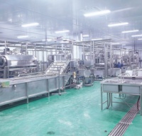 Fabriek Custom Vruchtensap Maken Machine Sap Productielijn Prijs