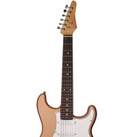 Gitar Elektrik Satin Matte Hz Wholesale Konstruksi Maple 6 Senar untuk Penggunaan Profesional Kemasan Khusus untuk Konser Langsung Band