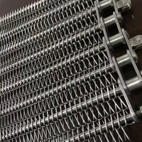 Nouvelle bande transporteuse en maille de chaîne en acier inoxydable de qualité alimentaire, résistante aux hautes températures et à l'huile, pour la cuisson et la congélation des fruits