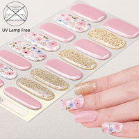 Usine OEM Mix Fleurs 22 bandes Blue Ice Flora 100% Real Polish Uv Harden Free Gel Nail Stickers