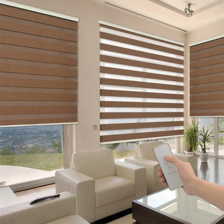 Zebra Blinds for Windows Cordless Roller Shades for Home Free-Stop Windows Shades Dual Layer Light Control for Day and Night