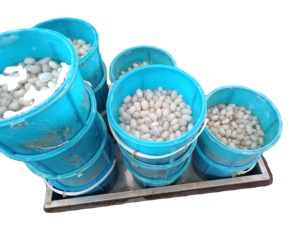 चीन का पुनर्नवीनीकरण 100% रेशम कच्चा स्पन धागा, हाथ बुनाई कढ़ाई बुनाई के लिए फैंसी प्राकृतिक प्रकार - Product Image 6