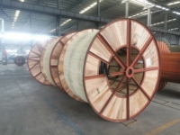 Câble d'alimentation à âme en cuivre 3*50mm² XLPE/PVC/SWA, directement de l'usine, prise en charge de la personnalisation OEM/ODM