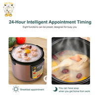 Appareils de cuisine à Dubaï, cuiseur à riz automatique avec thermostat, cuiseur à riz automatique de luxe de 5 L