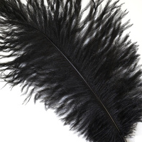 40-45cm Plumes d'autruche noires Décoration pour costumes de carnaval Décoration de table Plumes d'autruche colorées teintées pour mariage