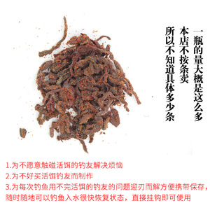 Nereis Verde en Conserva Semi Seca, 40g en Caja, Cebo para Pesca Marina, Pesca en Agua Salada, Pesca en Roca, Productos Originales - Product Image 2