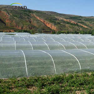 Malla Anti-Insectos Ultrafina de 100 Malla, HDPE, Anti-Trips y Áfidos, para Cultivos de Alto <span class=keywords><strong>Valor</strong></span> - Product Image 1