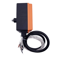 Control Remoto Industrial Inalámbrico Saga L10-1 de Una Velocidad y 8 Botones para Grúa Oruga, Fabricado en China