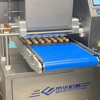 Machine à biscuits automatique à haute productivité Wenva en acier inoxydable, mini-déposeuse de biscuits industrielle rotative