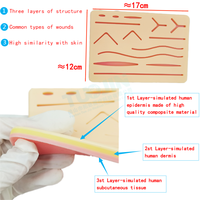Kit de pratique de suture personnalisable pour la vente en gros - Mannequin en silicone réaliste pour la formation médicale et infirmière