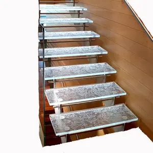 इनडोर nonslip कीमतों गिलास आउटडोर सीढ़ी कदम सीढ़ी मामले और मंच का नेतृत्व किया