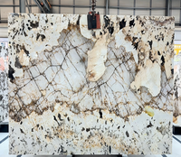 Paiastone Exotic White Patagonia Quartzite Led Rétro-éclairage Lumière Translucide Intérieur Mur & Sol Design Tops Dalle de Marbre