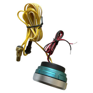 Affichage numérique 12/24V pour jauge de température d'eau de véhicule/camion transfrontalier, jauge de niveau d'huile moteur, jauge de gaz naturel/huile - Product Image 2