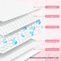 Ventes en gros de coussinets d'entraînement pour animaux de compagnie super absorbants, anti-fuites, multi-couches, séchage rapide pour chiens et chats, intérieur et extérieur