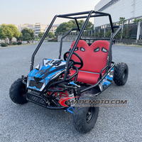 Buggy des dunes à moteur avec Renli 1100cc 4x4 Pièces 125cc Deux places Tout-terrain Go Kart