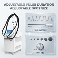 Laser Alexandrite 755nm 1064nm Épilation permanente Stationnaire 3000W Longue Impulsion Laser Nd Yag Doux Usage Commercial