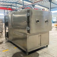 30kg Commerciële Fruit Vacuümvriesdroger Lyofilisator Vriesdroogapparatuur voor Bloemen