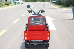 Taxi électrique Offre Spéciale de vélo de 3 roues à vendre/tricycle électrique de moto de cargaison - Product Image 5