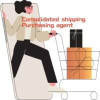 Agent d'Achat en Chine Pinduoduo JD 1688 Alibaba-Taobao Alibaba-Chine-Vente en Gros Agent de Fret